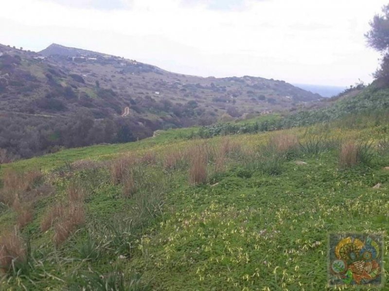 Pitsida Süd Kreta, Pitsida Grundstück 2.400 m² mit toller Aussicht Grundstück kaufen